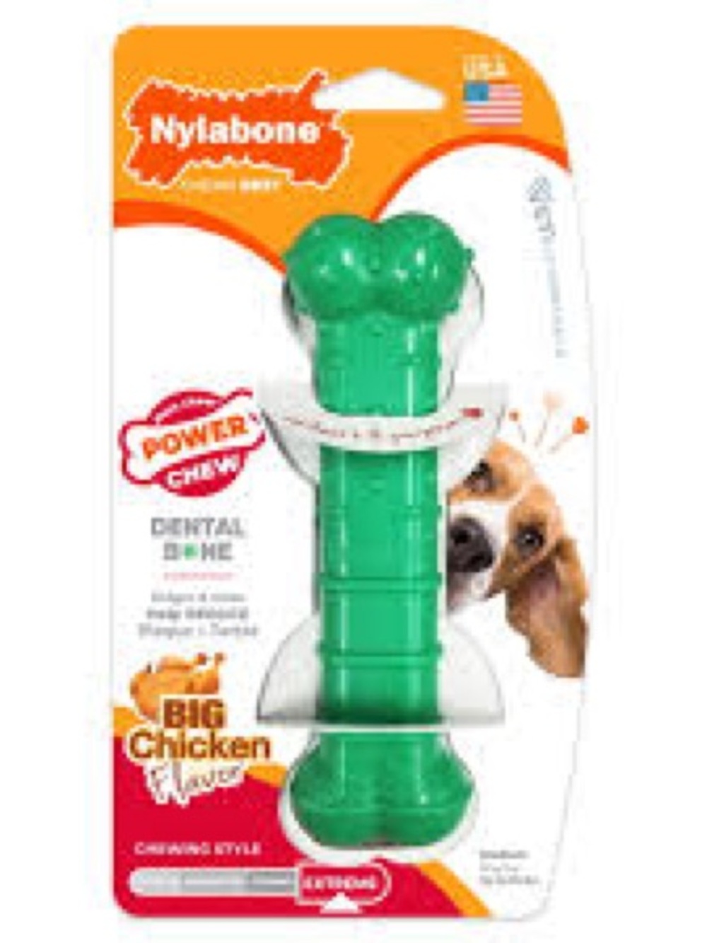 Nylabone Power Chew Green Dental Dog Toy - Big Chicken Flavor